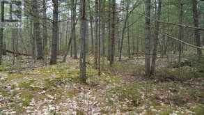 0 LAGOON DRIVE | Pointe au Baril Ontario | Slide Image Five