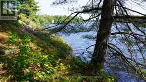 25 PENINSULA SHORE ROAD E | McDougall Ontario | Slide Image Ten