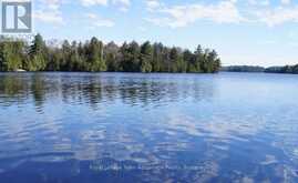 25 PENINSULA SHORE ROAD E | McDougall Ontario | Slide Image One