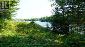 25 PENINSULA SHORE ROAD E | McDougall Ontario | Slide Image Three