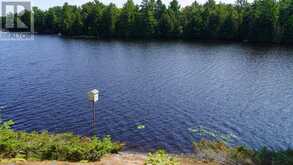 25 PENINSULA SHORE ROAD E | McDougall Ontario | Slide Image Seven
