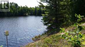 25 PENINSULA SHORE ROAD E | McDougall Ontario | Slide Image Eight