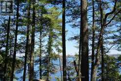 29 THORBURN LANE | Huntsville Ontario | Slide Image Nine