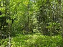 1-22342 EAST ROAD | Parry Sound Ontario | Slide Image Nine