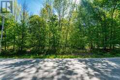 LT 60 ONEIDA CRESCENT | Tiny Ontario | Slide Image Five