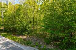 LT 60 ONEIDA CRESCENT | Tiny Ontario | Slide Image One
