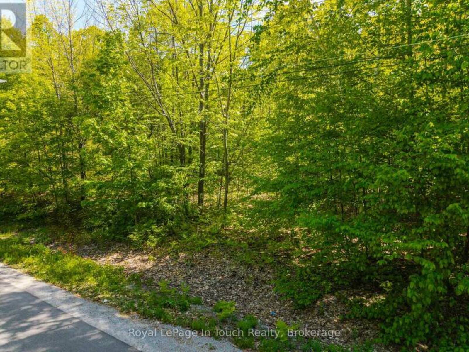 LT 60 ONEIDA CRESCENT, Tiny, Ontario L9M 0B2