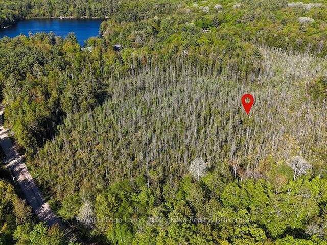 1356 DICKIE LAKE ROAD Baysville Ontario, P0B 1A0 - Vacant Land For Sale