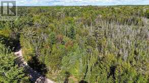 1356 DICKIE LAKE ROAD | Baysville Ontario | Slide Image Thirteen