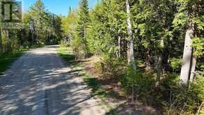 1356 DICKIE LAKE ROAD | Baysville Ontario | Slide Image Fifteen