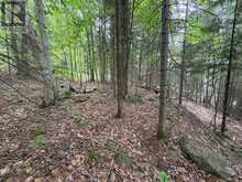 0 POVERTY BAY TRAIL | Minden Hills Ontario | Slide Image Sixteen