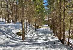 0 POVERTY BAY TRAIL | Minden Hills Ontario | Slide Image Twenty-seven