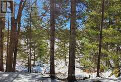 0 POVERTY BAY TRAIL | Minden Hills Ontario | Slide Image Twenty-six