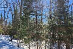 0 POVERTY BAY TRAIL | Minden Hills Ontario | Slide Image Twenty-eight