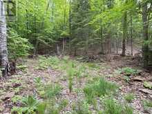 0 POVERTY BAY TRAIL | Minden Hills Ontario | Slide Image Ten