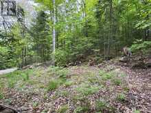 0 POVERTY BAY TRAIL | Minden Hills Ontario | Slide Image Eleven