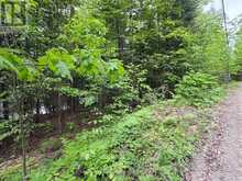 0 POVERTY BAY TRAIL | Minden Hills Ontario | Slide Image Twelve