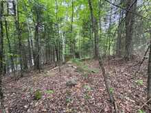 0 POVERTY BAY TRAIL | Minden Hills Ontario | Slide Image Thirteen