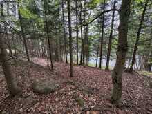 0 POVERTY BAY TRAIL | Minden Hills Ontario | Slide Image Fourteen