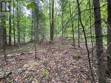 0 POVERTY BAY TRAIL | Minden Hills Ontario | Slide Image Fifteen
