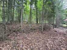 0 POVERTY BAY TRAIL | Minden Hills Ontario | Slide Image Nineteen