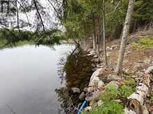 0 POVERTY BAY TRAIL | Minden Hills Ontario | Slide Image Twenty-three
