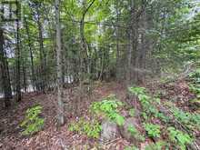 0 POVERTY BAY TRAIL | Minden Hills Ontario | Slide Image Seventeen