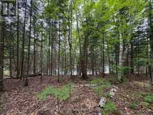 0 POVERTY BAY TRAIL | Minden Hills Ontario | Slide Image Eighteen