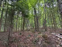 0 POVERTY BAY TRAIL | Minden Hills Ontario | Slide Image Twenty-two