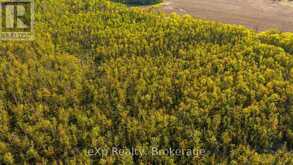 CON 13 S PT LT 19-20 SIDEROAD 20 ARRAN | South Bruce Peninsula Ontario | Slide Image Eleven