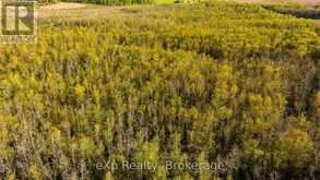 CON 13 S PT LT 19-20 SIDEROAD 20 ARRAN | South Bruce Peninsula Ontario | Slide Image Twenty-five