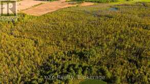 CON 13 S PT LT 19-20 SIDEROAD 20 ARRAN | South Bruce Peninsula Ontario | Slide Image Seventeen