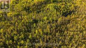 CON 13 S PT LT 19-20 SIDEROAD 20 ARRAN | South Bruce Peninsula Ontario | Slide Image Twelve