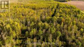 CON 13 S PT LT 19-20 SIDEROAD 20 ARRAN | South Bruce Peninsula Ontario | Slide Image Twenty-two