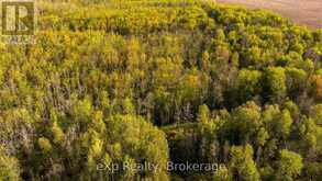 CON 13 S PT LT 19-20 SIDEROAD 20 ARRAN | South Bruce Peninsula Ontario | Slide Image Twenty-four