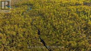 CON 13 S PT LT 19-20 SIDEROAD 20 ARRAN | South Bruce Peninsula Ontario | Slide Image Twenty-six