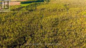 CON 13 S PT LT 19-20 SIDEROAD 20 ARRAN | South Bruce Peninsula Ontario | Slide Image Eight
