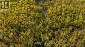 CON 13 S PT LT 19-20 SIDEROAD 20 ARRAN | South Bruce Peninsula Ontario | Slide Image Thirty