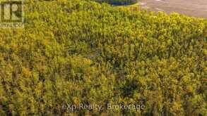 CON 13 S PT LT 19-20 SIDEROAD 20 ARRAN | South Bruce Peninsula Ontario | Slide Image Thirty-two