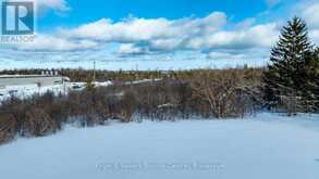 401 RAGLAN STREET | Collingwood Ontario | Slide Image Ten