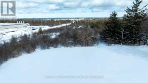 401 RAGLAN STREET | Collingwood Ontario | Slide Image Nine