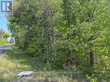 147 SO HO MISH ROAD | Emsdale Ontario | Slide Image Eight