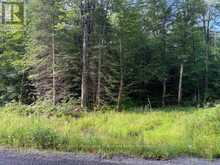 48 SUMMER LEIGH TRAIL | Huntsville Ontario | Slide Image Four