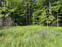 1788 OLD MUSKOKA ROAD | Huntsville Ontario | Slide Image One