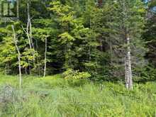 1788 OLD MUSKOKA ROAD | Huntsville Ontario | Slide Image Two
