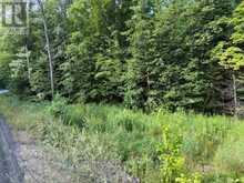 1788 OLD MUSKOKA ROAD | Huntsville Ontario | Slide Image Three