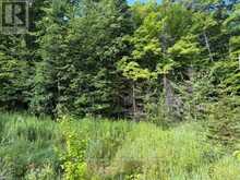 1788 OLD MUSKOKA ROAD | Huntsville Ontario | Slide Image Four