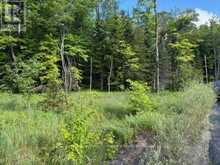 1788 OLD MUSKOKA ROAD | Huntsville Ontario | Slide Image Five