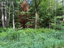 1788 OLD MUSKOKA ROAD | Huntsville Ontario | Slide Image Six