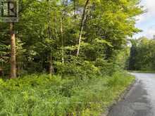 1788 OLD MUSKOKA ROAD | Huntsville Ontario | Slide Image Seven